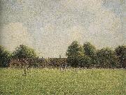 grass